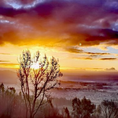 WhatsApp Image 2023-09-17 at 19.51.47 (2)