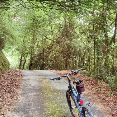 WhatsApp Image 2023-09-17 at 19.55.51 (3)